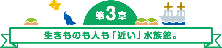 第4章 動物も植物も、イキイキしてる！
