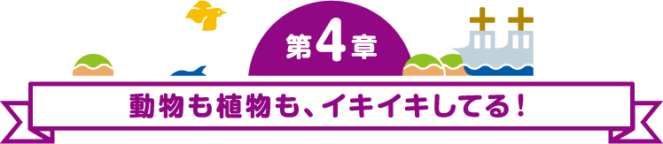 第5章 九十九島の夏はすばらしいぞ。